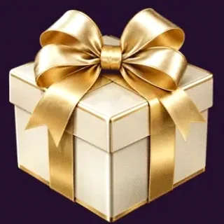 Gift box — Spinago