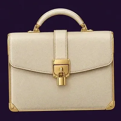 Locked leather briefcase — Spinago