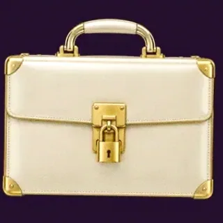 Locked leather briefcase — Spinago