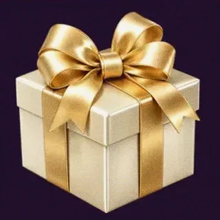 Luxury gift box — Spinago