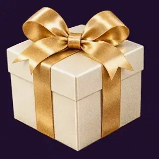 Wrapped gift box — Spinago